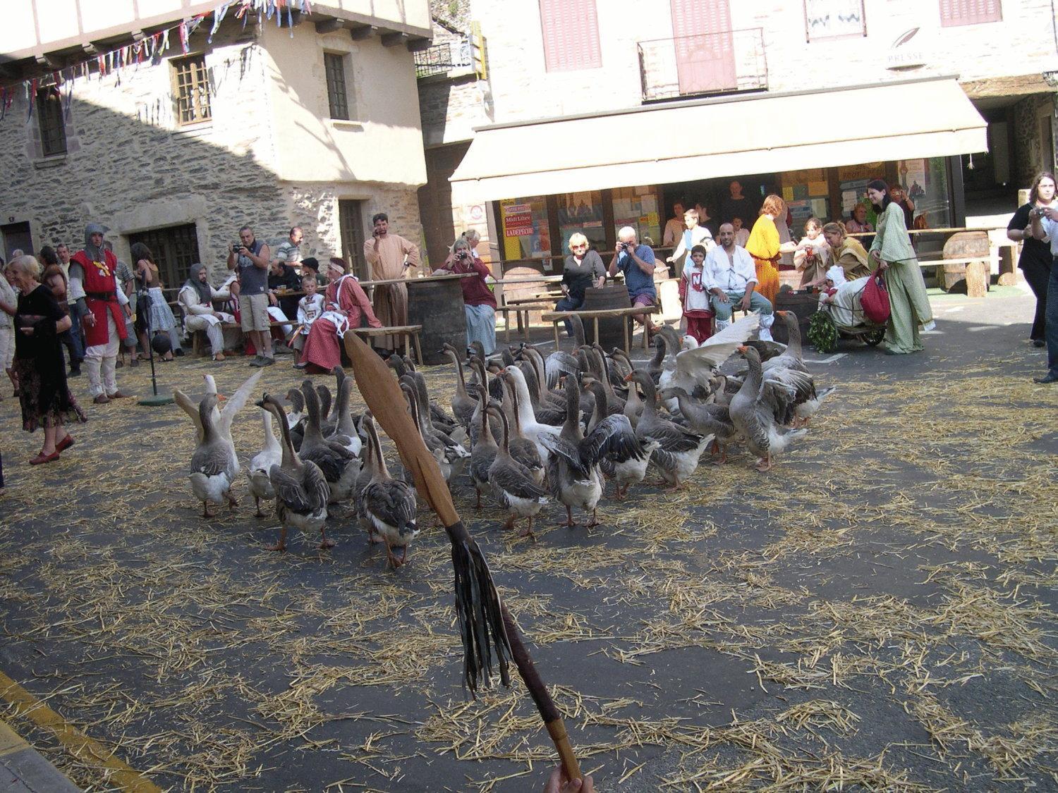 Hotel Restaurant Aux Armes D'Estaing - Kb Hotel Group Exterior foto